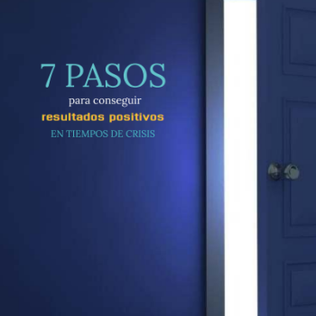 Libro "7 Pasos para conseguir resultados positivos en tiempos de crisis"